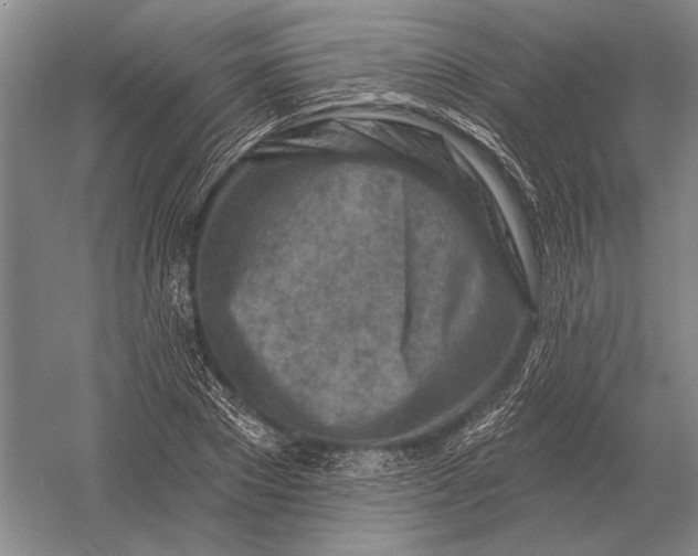 X0000054360881200508191817