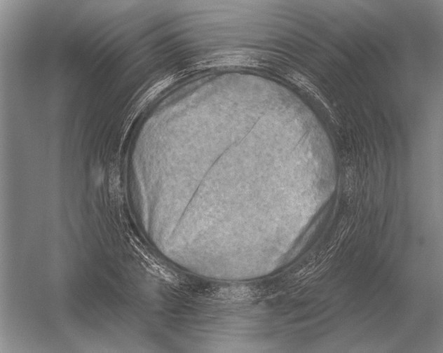 X0000054360882200508191817