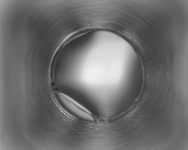 X0000054360884200508191817
