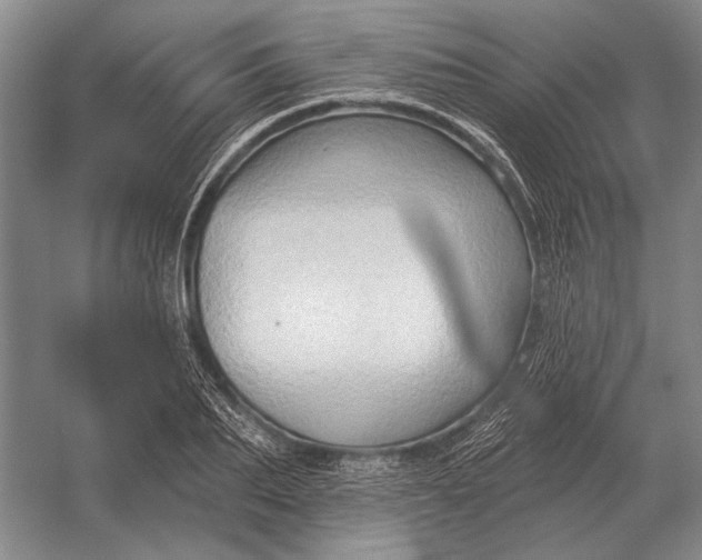 X0000054360887200508191816