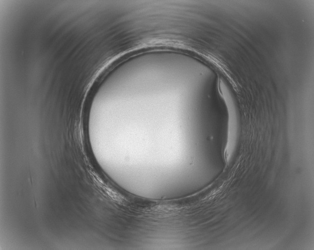 X0000054360888200508191816