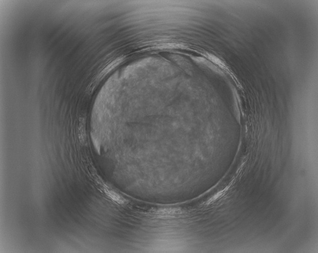 X0000054360889200508191816
