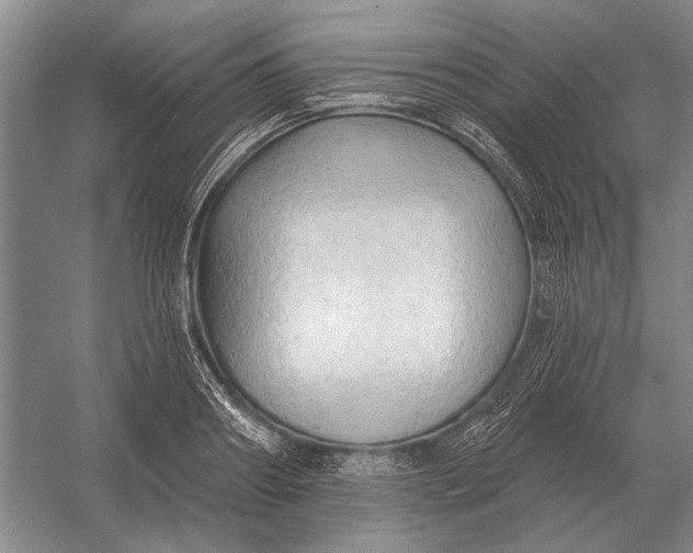 X0000054360890200508191816