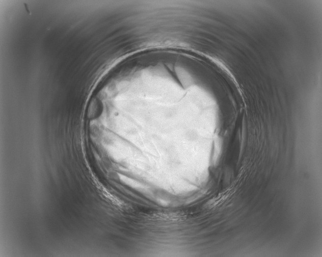 X0000054360895200508191816