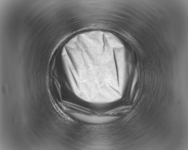 X0000054360896200508191816