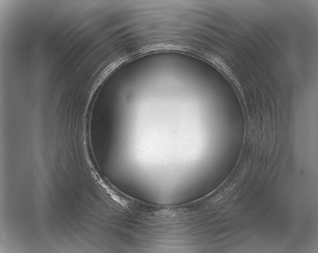 X0000054360898200508191816