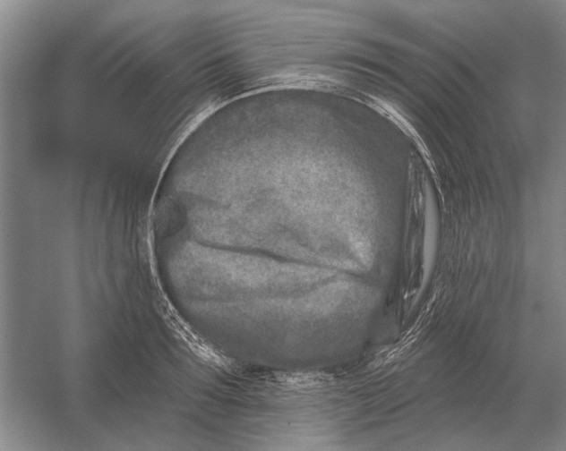 X0000054360899200508191816
