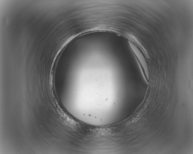 X0000054360900200508191816