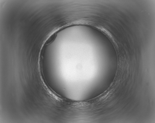 X0000054360902200508191816