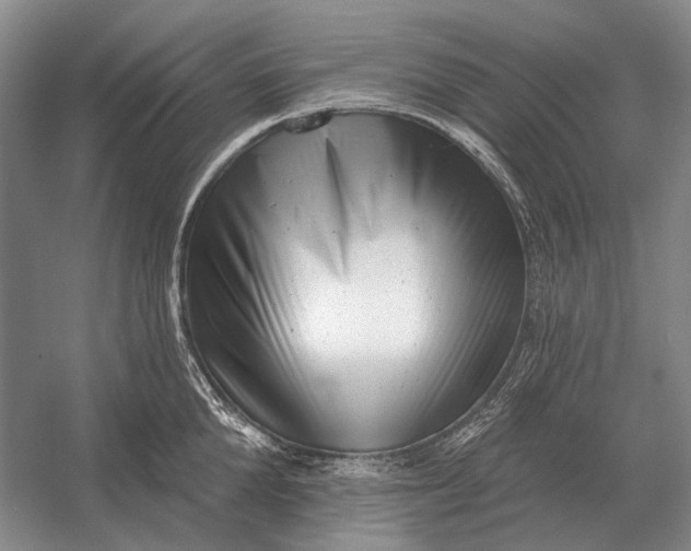 X0000054360904200508191816