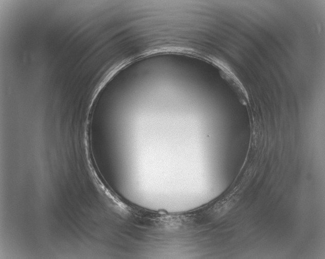 X0000054360906200508191816