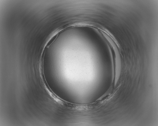 X0000054360909200508191816