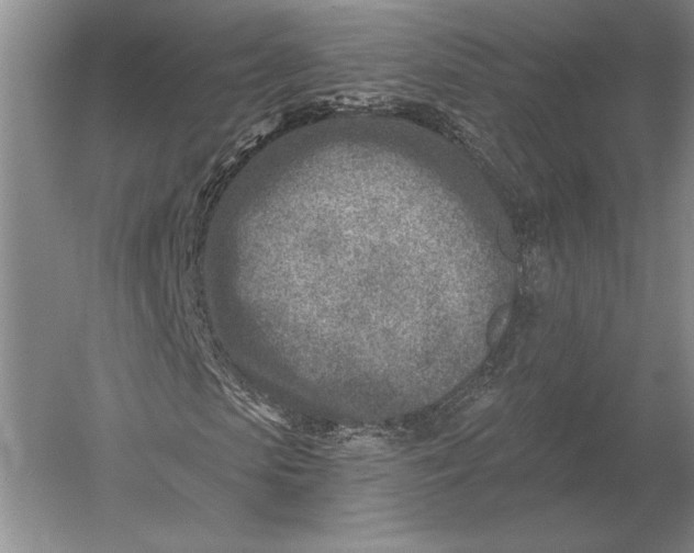 X0000054360913200508191815