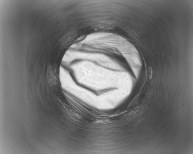 X0000054360915200508191815