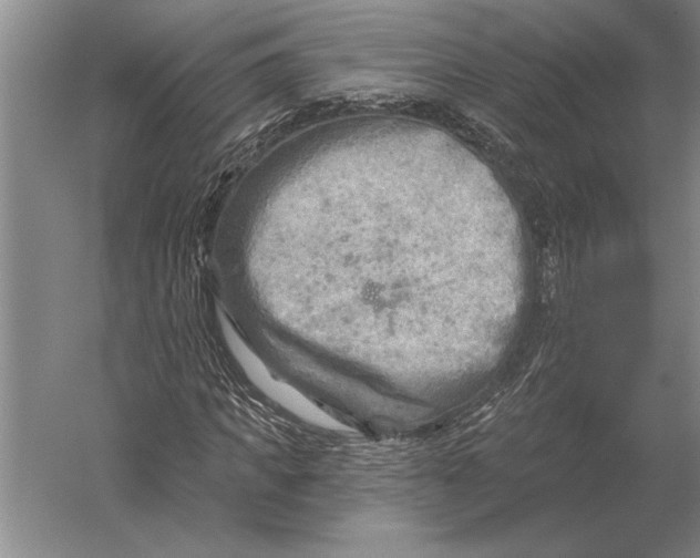 X0000054360917200508191815