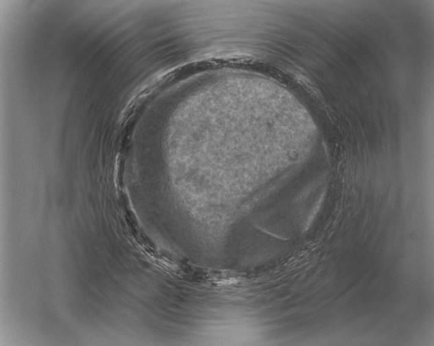 X0000054360920200508191815