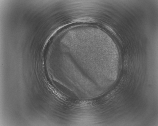 X0000054360923200508191815