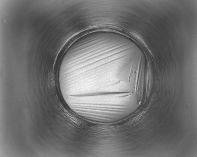X0000054360924200508191815