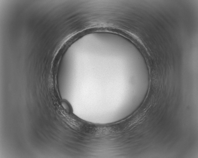 X0000054360927200508191815