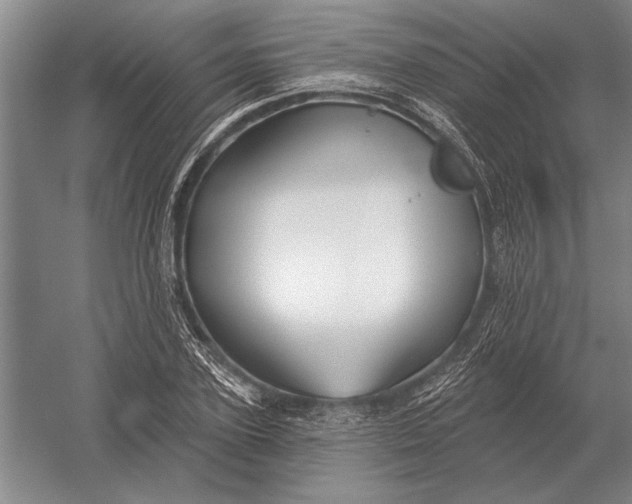 X0000054360931200508191816
