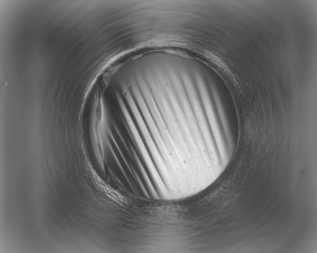 X0000054360934200508191816