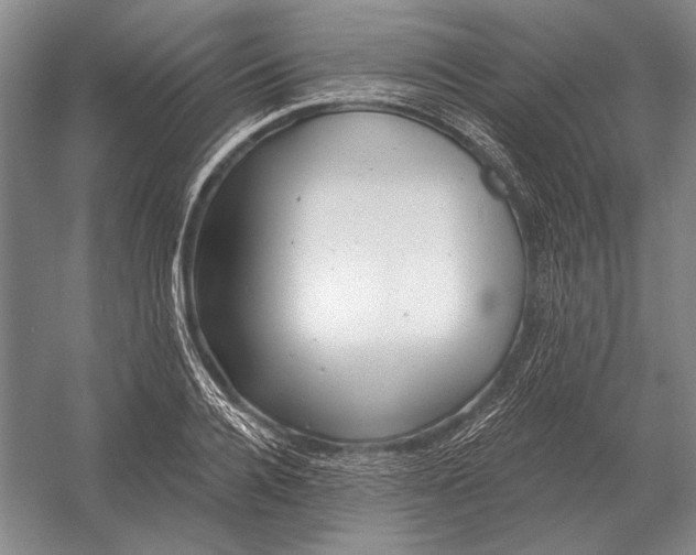 X0000054360936200508191816