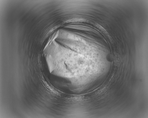 X0000054360937200508191816
