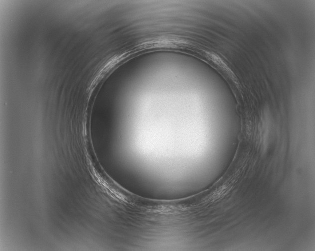 X0000054360938200508191816