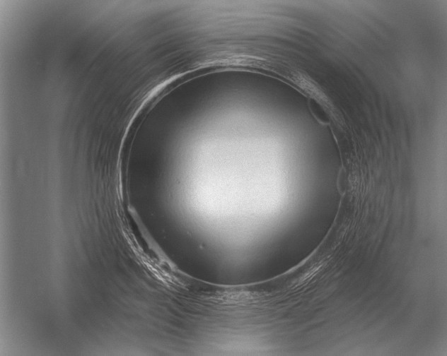 X0000054360940200508191816