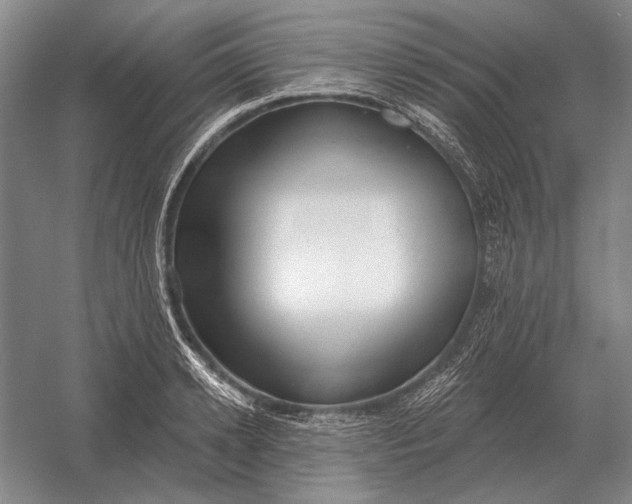 X0000054360942200508191816