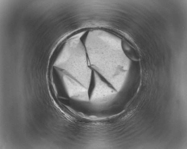 X0000054360943200508191816