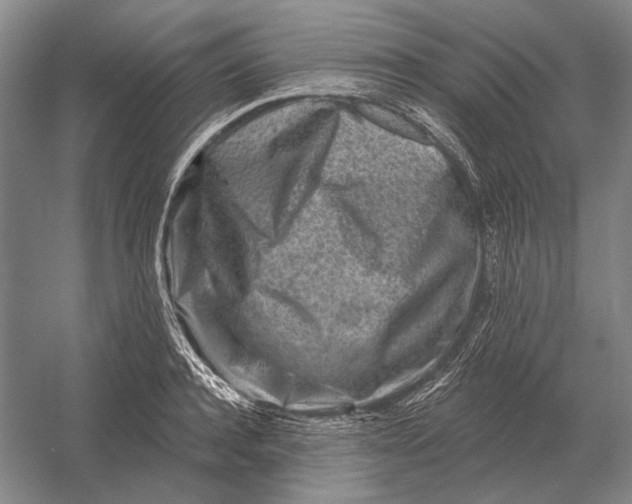 X0000054360944200508191816