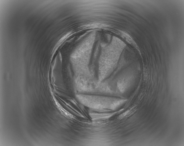 X0000054360946200508191816