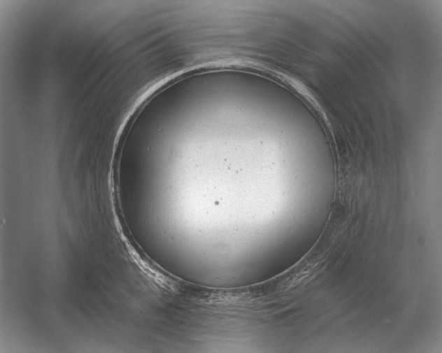 X0000054360951200508191816
