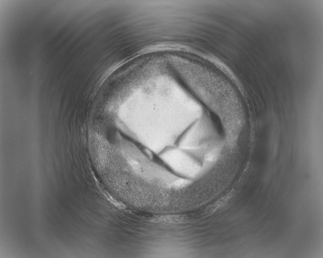 X0000054360953200508191816