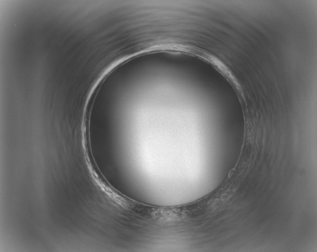 X0000054360955200508191816