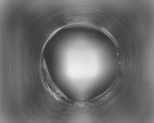 X0000054360956200508191816