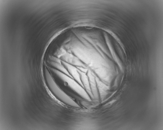 X0000054360957200508191816