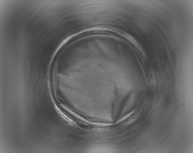 X0000054360958200508191816