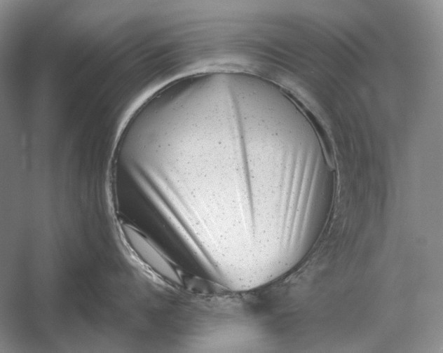 X0000054360960200508191816