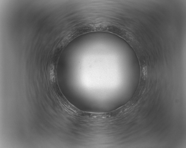 X0000054360963200508191815