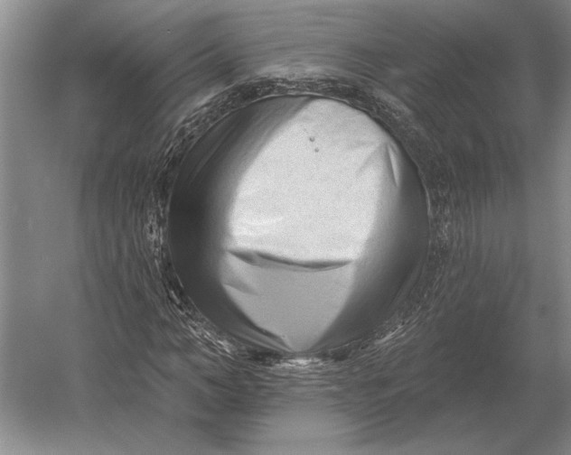 X0000054360966200508191815