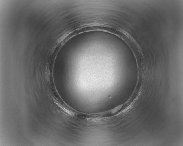 X0000054360969200508191815