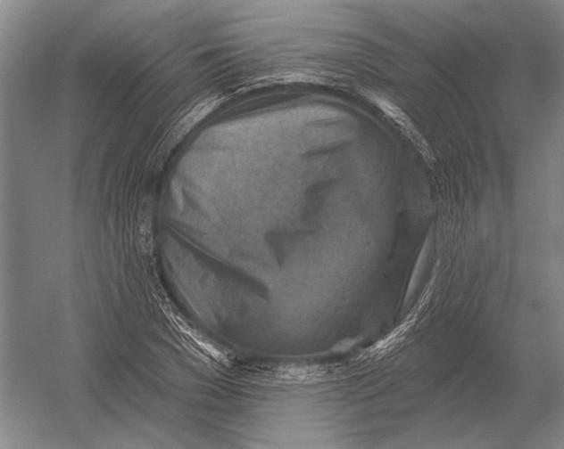 X0000054360977200508191815