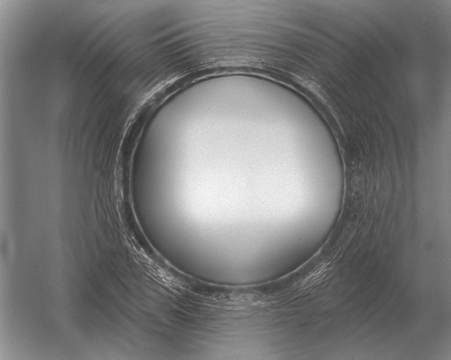 X0000054360979200508191815
