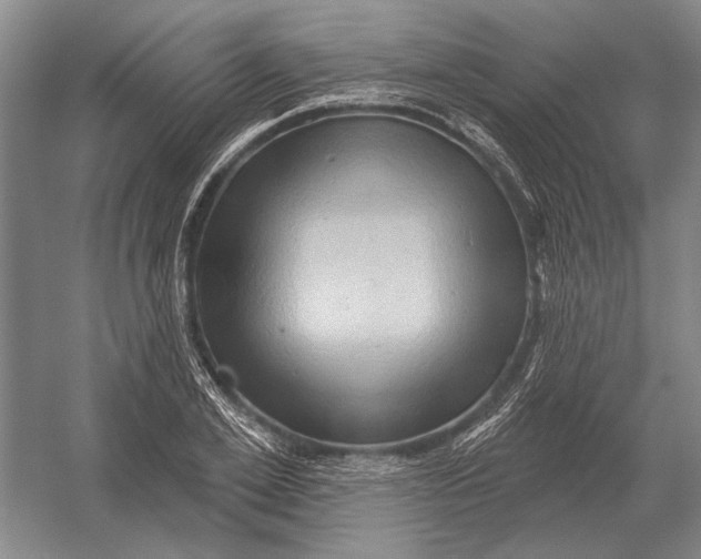 X0000054360981200508191815