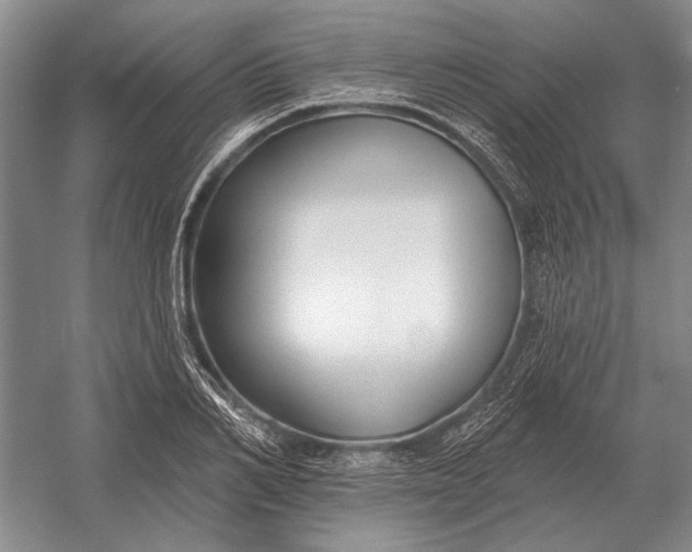 X0000054360982200508191815