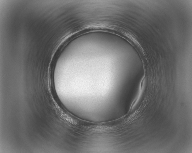 X0000054360984200508191815