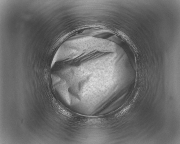 X0000054360985200508191815