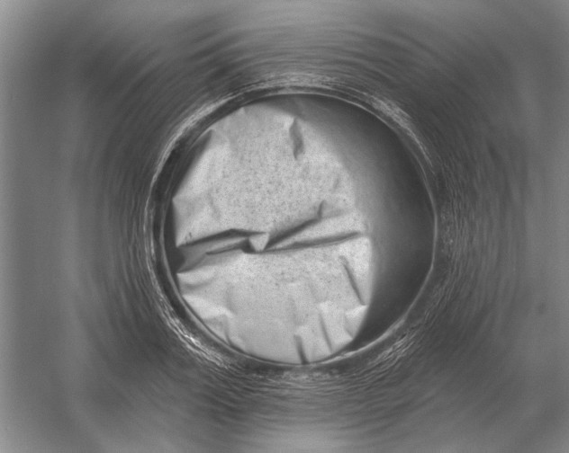 X0000054360987200508191815